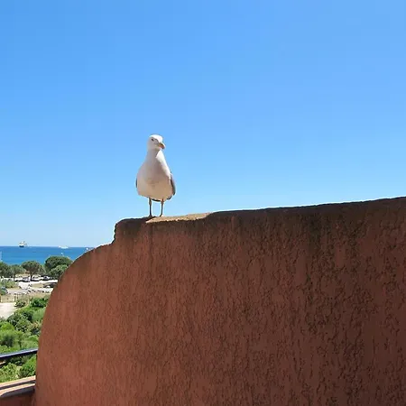 Gasbrun - Appartement Avec Piscine At Acces Plage Appartement Grimaud